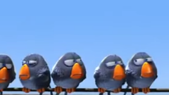Kuşlar - Komik Animasyon